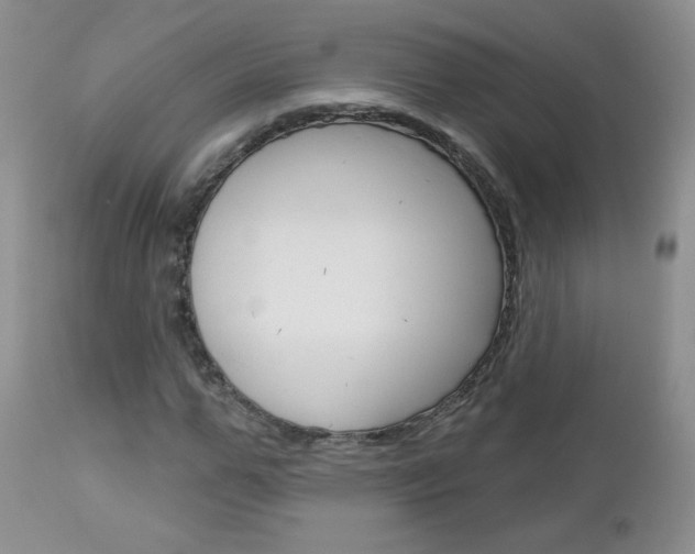 X0000113100967200908280948