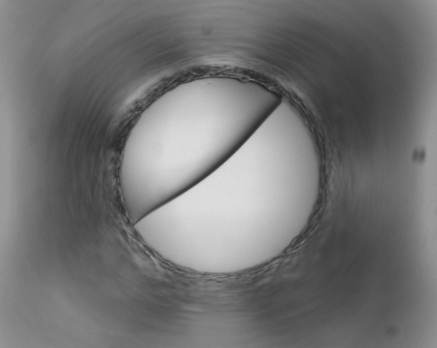 X0000113100968200908280948