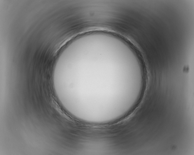 X0000113100969200908280948