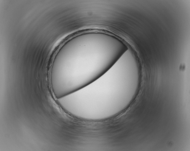 X0000113100972200908280948