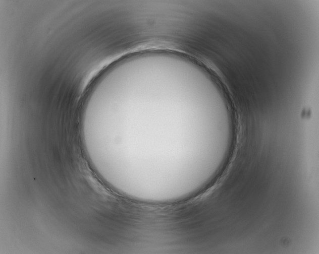 X0000113100973200908280948