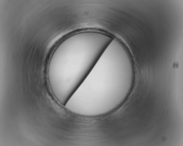 X0000113100975200908280948
