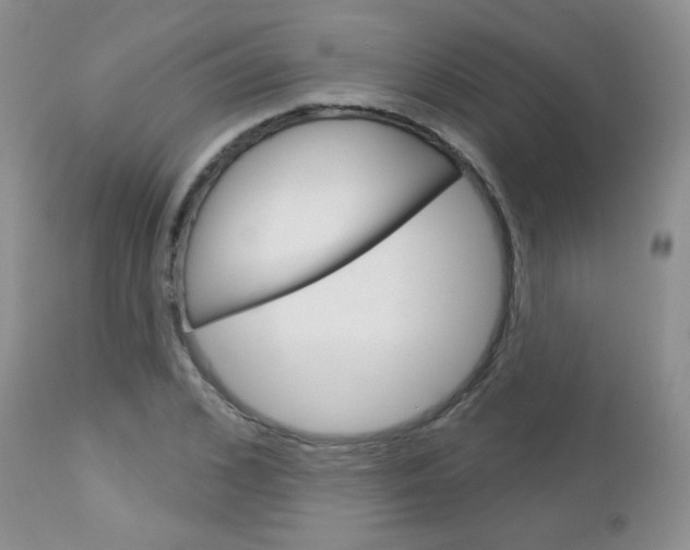 X0000113100976200908280948