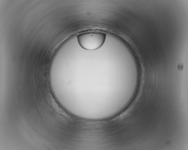 X0000113100977200908280948