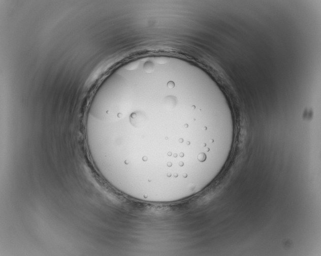 X0000113100978200908280948