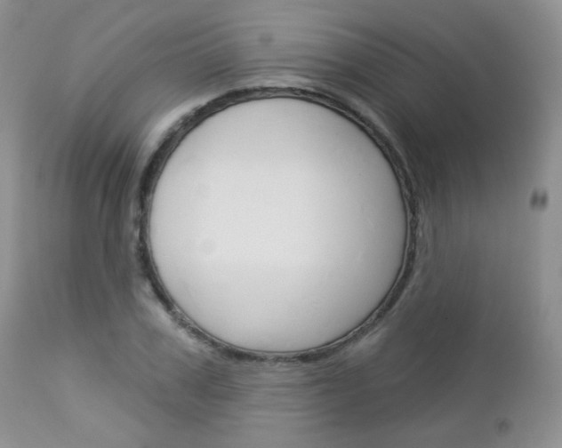 X0000113100979200908280948