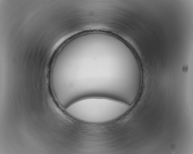 X0000113100983200908280948