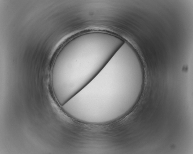X0000113100984200908280948