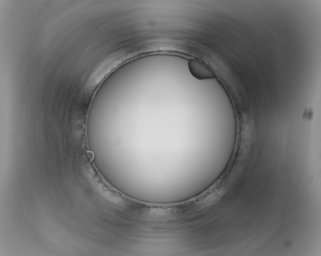 X0000113100985200908280948