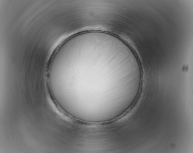 X0000113100989200908280948