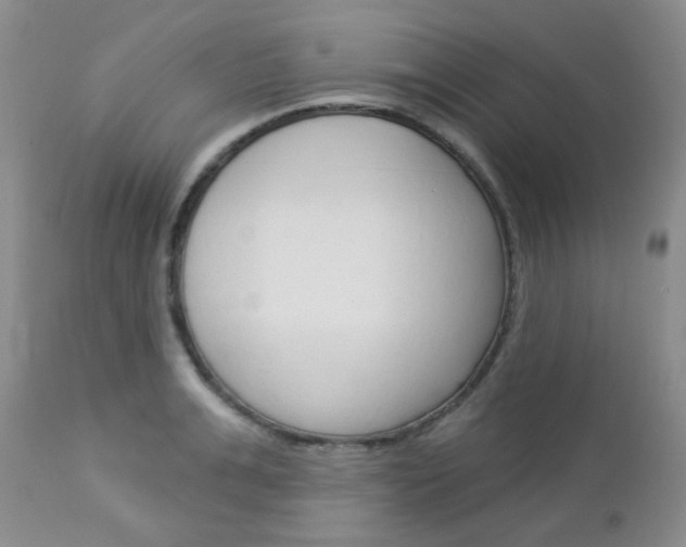 X0000113100991200908280947