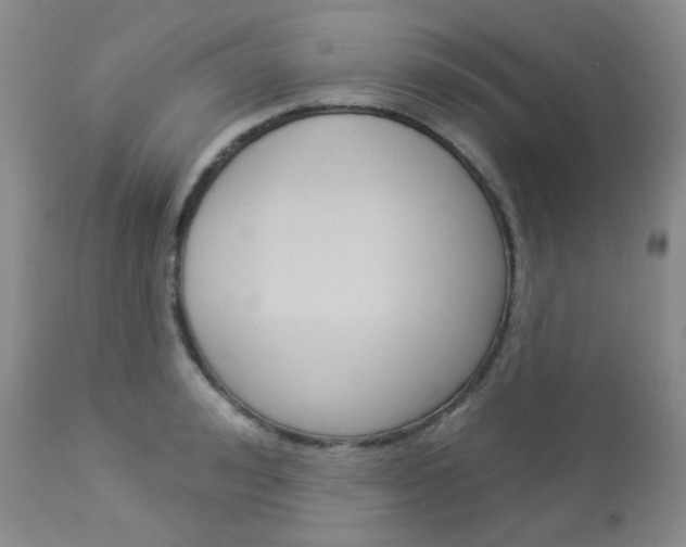 X0000113100992200908280947
