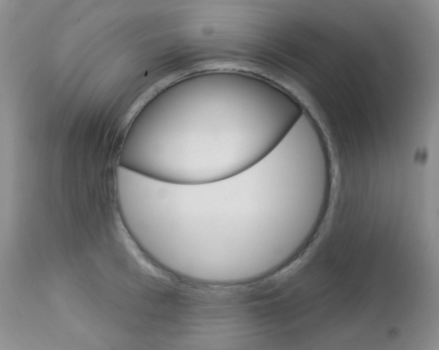 X0000113100993200908280947