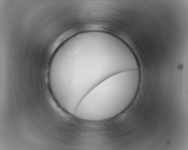 X0000113100994200908280947
