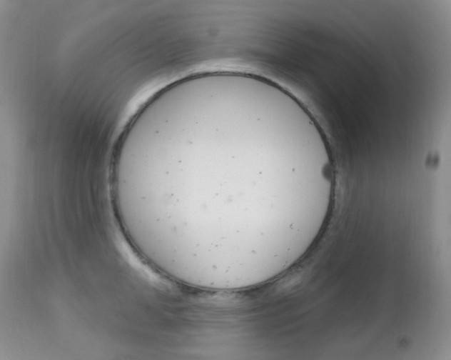 X0000113100998200908280947