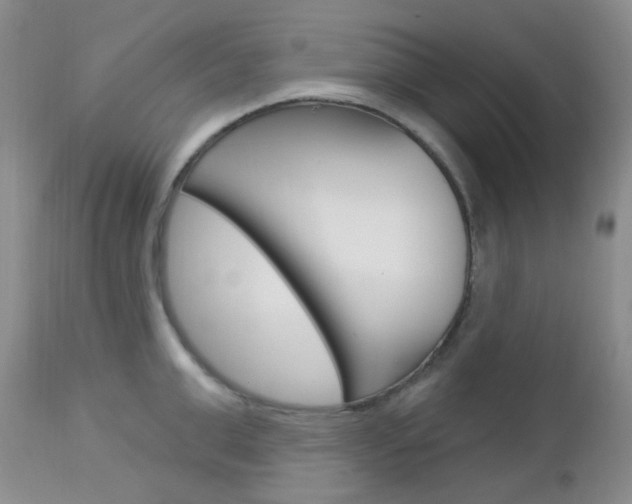 X0000113100999200908280947