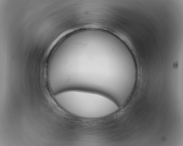 X0000113101000200908280947