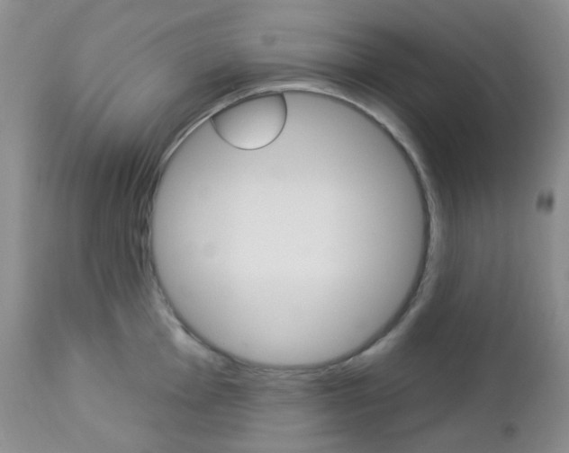 X0000113101001200908280947