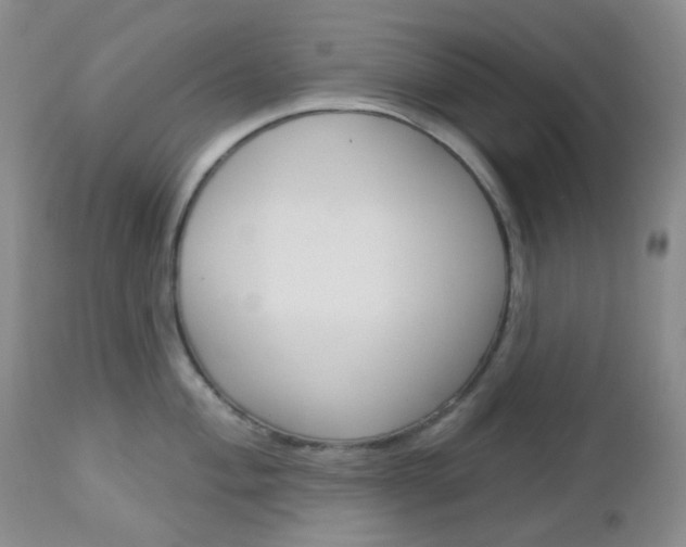 X0000113101004200908280947