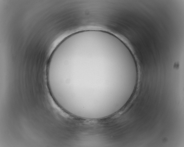 X0000113101006200908280947