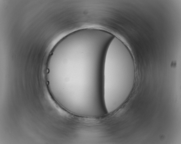 X0000113101007200908280947