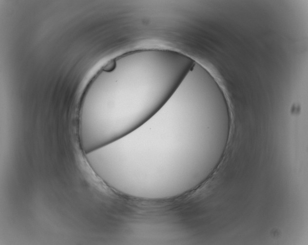 X0000113101008200908280947