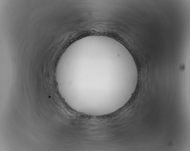 X0000113101009200908280946