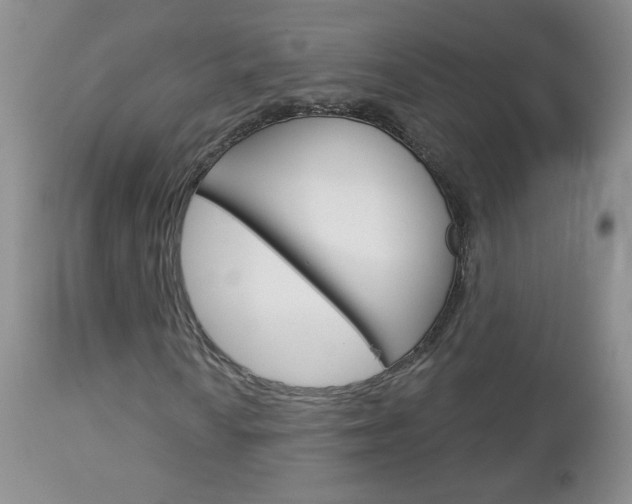 X0000113101010200908280946