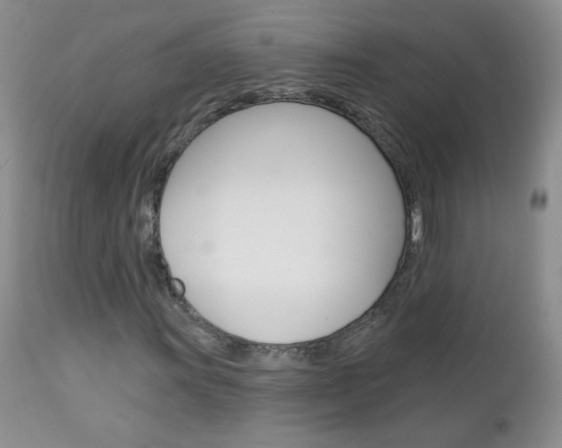 X0000113101011200908280946