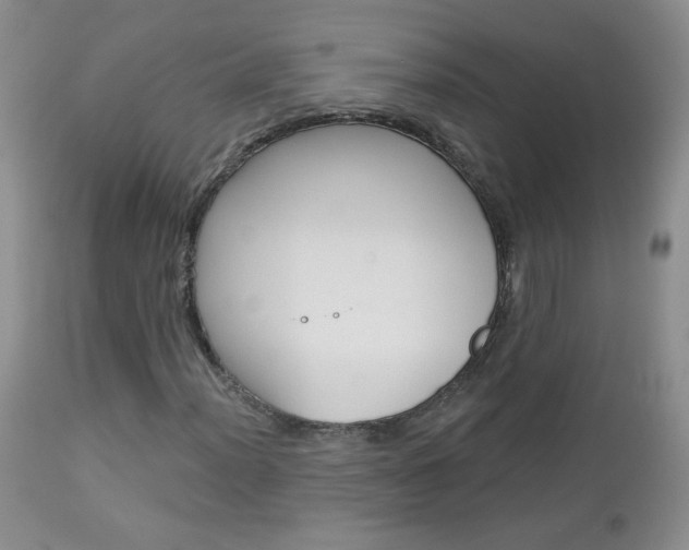 X0000113101012200908280946