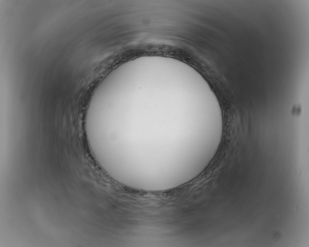 X0000113101013200908280946