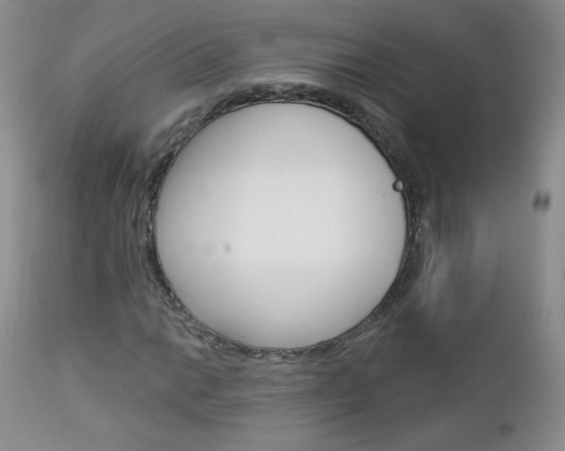 X0000113101014200908280946