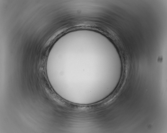 X0000113101017200908280946