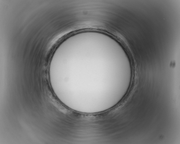 X0000113101019200908280947