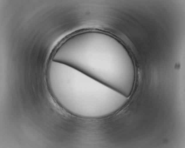 X0000113101020200908280947
