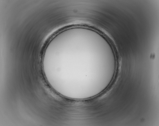 X0000113101021200908280947