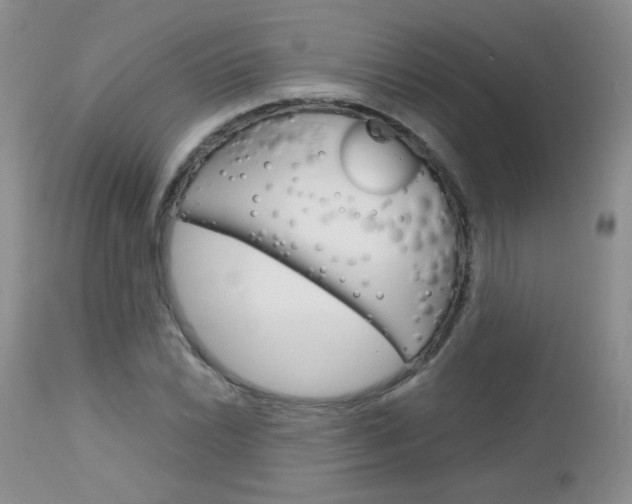 X0000113101022200908280947