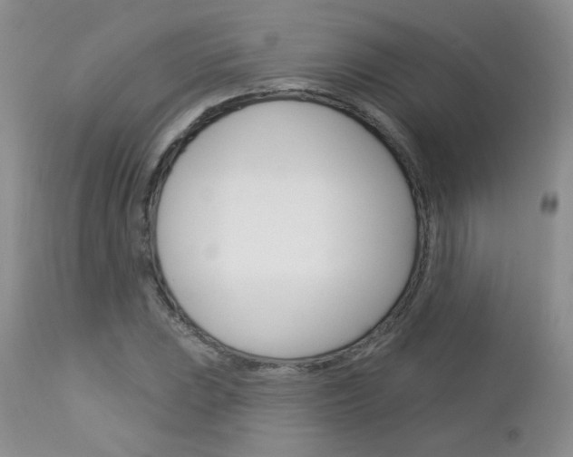 X0000113101023200908280947