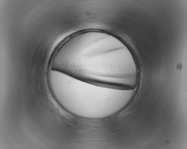 X0000113101024200908280947