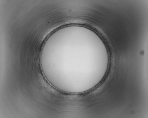X0000113101025200908280947