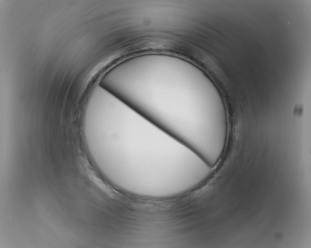 X0000113101026200908280947