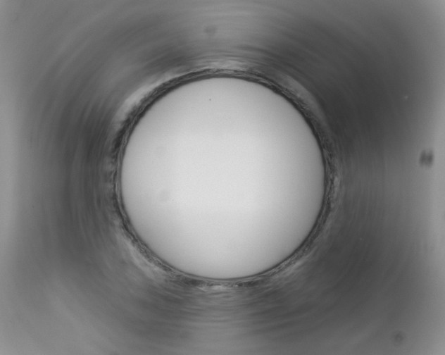 X0000113101027200908280947