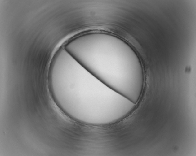 X0000113101028200908280947