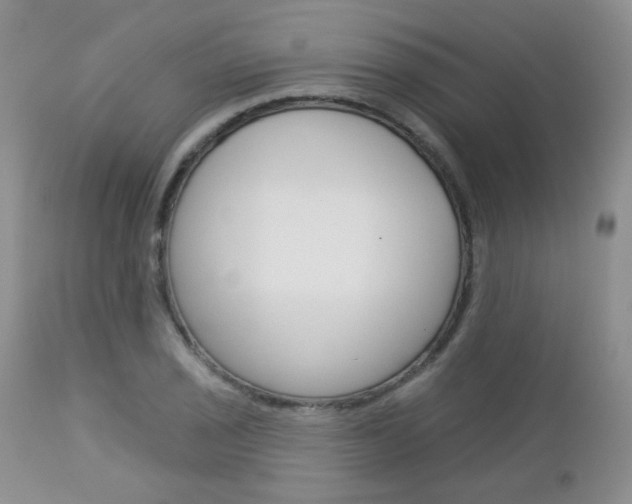 X0000113101029200908280947