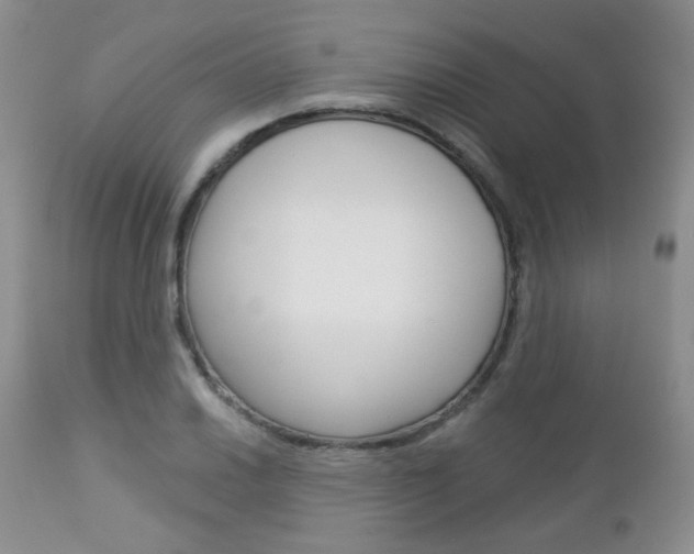 X0000113101030200908280947