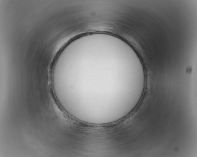X0000113101031200908280947