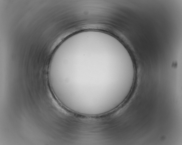 X0000113101033200908280947