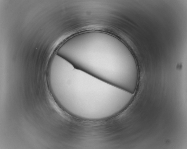 X0000113101034200908280947