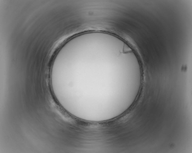 X0000113101035200908280947