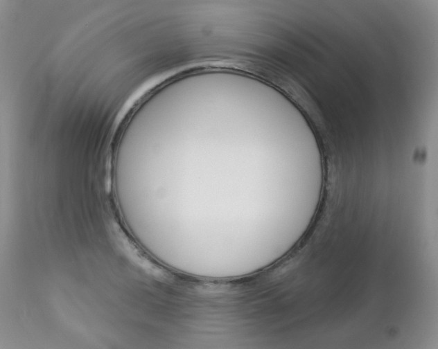 X0000113101036200908280947
